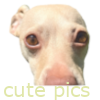 Cute Pics